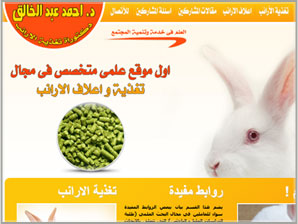 شركة Rabbits Egypt